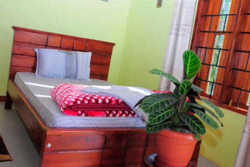 a bedroom with a wooden bed with a potted plant at Muga Eco Village in Ntungamo