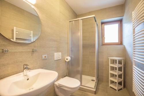 a bathroom with a sink and a toilet and a mirror at Apt Hofer Maria in Villabassa