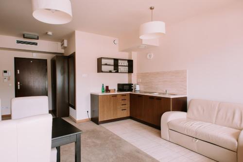 a living room with a couch and a kitchen at Szklane Domy in Zakopane