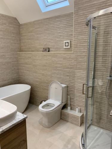 a bathroom with a toilet and a sink and a shower at Church View Cottage, Drift House Holiday Cottages in Congleton