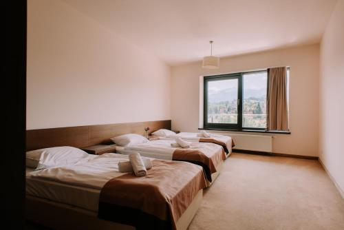 a row of beds in a room with a window at Szklane Domy in Zakopane