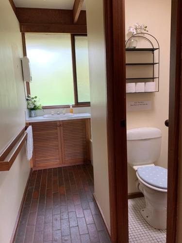 a bathroom with a toilet and a sink at Willunga Cottage — Sweet Country Retreat in Lyndhurst South