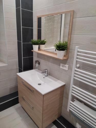 une salle de bain avec un lavabo et un miroir dans l'établissement *** les loges de la friche DMC ***, à Mulhouse