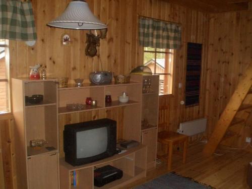 una sala de estar con TV en una sala de madera en Arvola, en Karstula