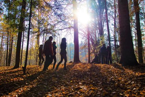 a group of people walking in the woods at Dwór Maria Antonina in Strzyżów