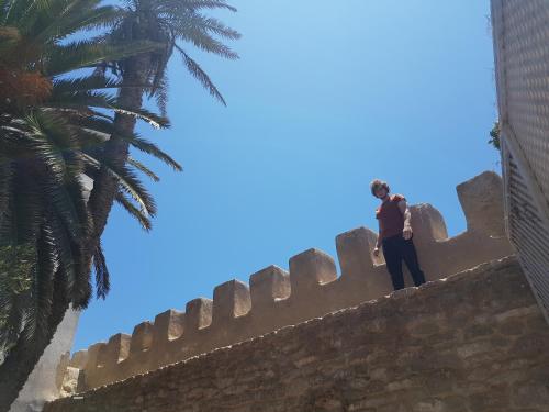 a man standing on top of a wall at Aghata Palms Riad in Essaouira