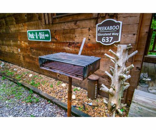 ピジョン・フォージにあるPeekaboo with Hot Tub, Pool Table, and Jacuzziのギャラリーの写真