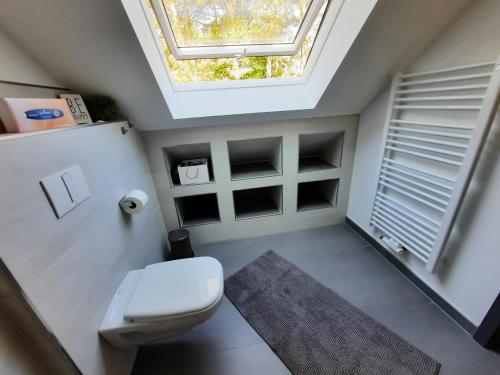 an attic bathroom with a toilet and a skylight at Zum Waldblick in Funfseen