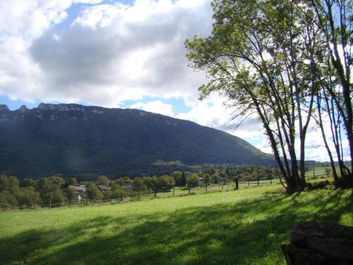 a field with trees and a mountain in the background at Les Patins à Roulottes in Yenne
