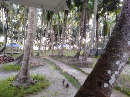a group of palm trees with umbrellas in a park at Crossbill Beach Resort in Havelock Island