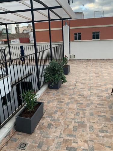 a patio with potted plants on top of a building at Villa Rosaura in Las Palmas de Gran Canaria