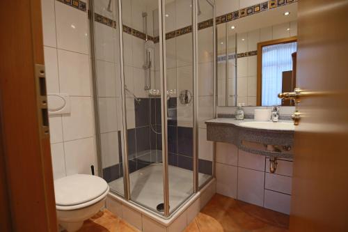 y baño con ducha, aseo y lavamanos. en Hotel Restaurant Hambacher WInzer, en Neustadt an der Weinstraße
