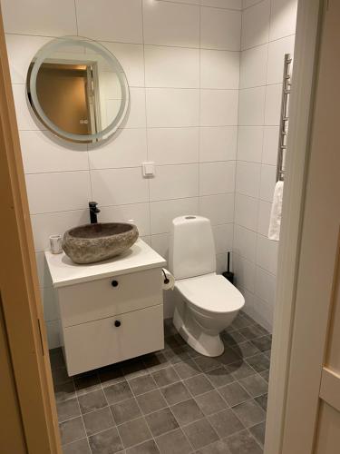 uma casa de banho com um lavatório, um WC e um espelho. em Naturnära boende i vackra Järvsö - F em Järvsö