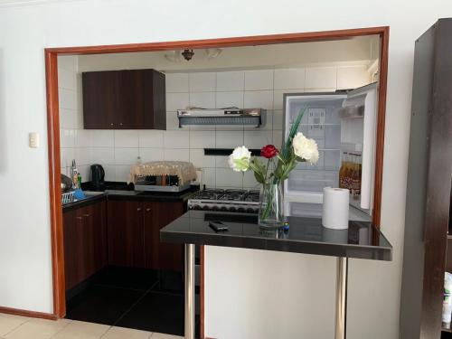 Dapur atau dapur kecil di Condominio Espacio 1