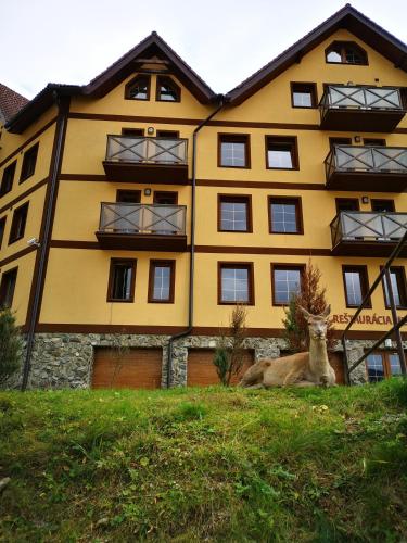 a deer laying in the grass in front of a building at Podkrovný Apartmán Attic 32 Telgárt in Telgárt