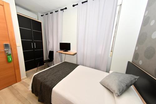 a bedroom with a bed and a desk with a computer at Hostal Falfes in Madrid