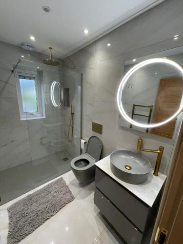 a bathroom with a toilet and a sink and a mirror at Lux Cottage in Blackburn