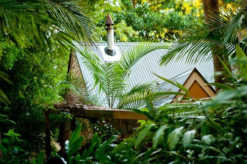 a bird house in the middle of a forest at Witches Falls Cottages in Mount Tamborine