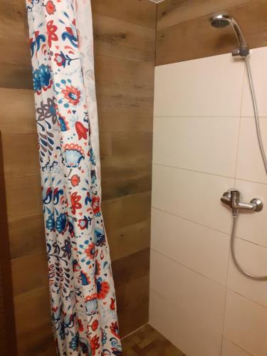 a shower in a bathroom with a shower curtain at Old Town Apartment with a separate entrance in Kaunas