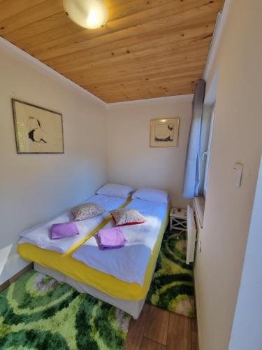 Giường trong phòng chung tại Dobra Hiša Zdravja Čičarija