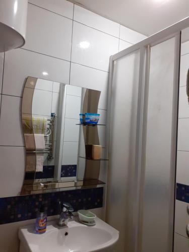 ザポリージャにあるApartment on Boulevard Shevchenkoのバスルーム(シンク、シャワー、鏡付)