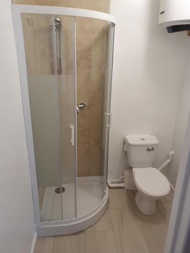 a bathroom with a shower and a toilet at 17A DB Airbnb in Wexford