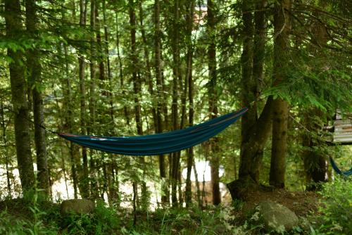 a blue hammock hanging from a tree in the woods at Cabin & Apartment Kopaonik in Kopaonik