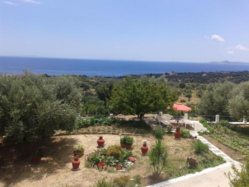 a garden with a view of the ocean at Daphne Studios in Marathokampos