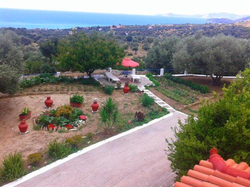 a garden with potted plants and flowers on a road at Daphne Studios in Marathokampos