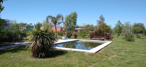 uma piscina no meio de um quintal em El Paraiso de Carmen de Areco em Carmen de Areco