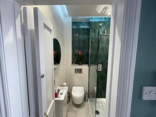 a bathroom with a toilet and a glass shower at By the Pagoda- cozy garden flat by Richmond & Kew Gardens in Kew Gardens