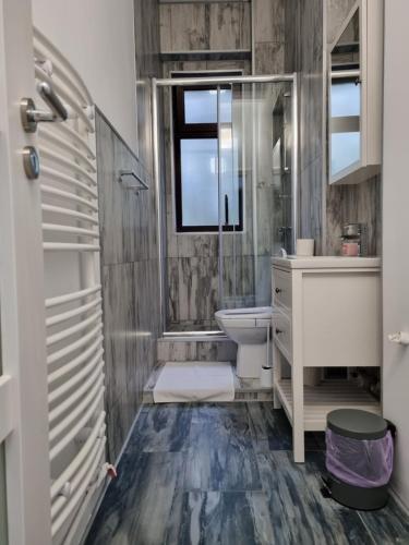 a bathroom with a toilet and a sink and a window at City Inn Premium Apartment in Timişoara