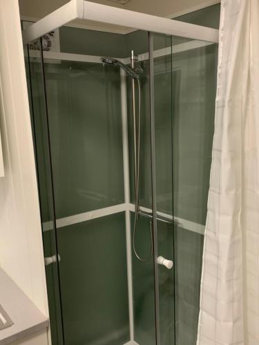 a shower with a glass door in a bathroom at Private house-terrace-garden -parking-WiFi-smartTV in Trondheim