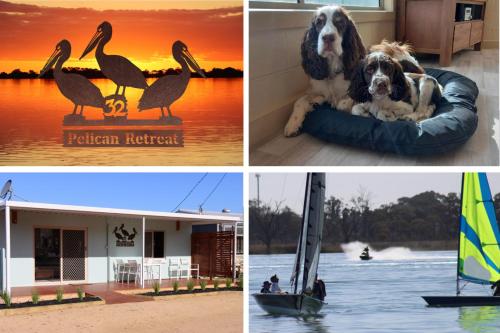 four pictures of pelican habitat and two dogs on a boat at Stay and Relax in Barmera