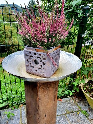 a table with a flower pot on top of it at 2 Zimmer Domizil am Südhang mit Terrasse und Pool in Ortenberg