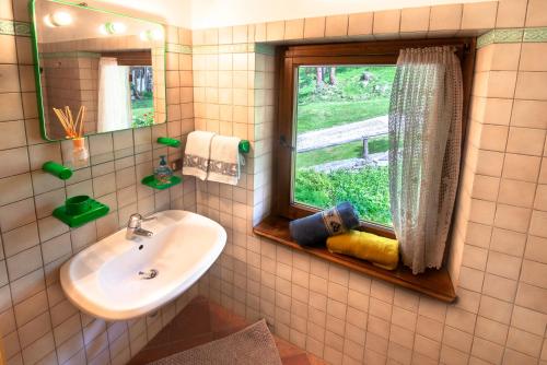 a bathroom with a sink and a mirror and a window at Baita Mas Socina in Peio