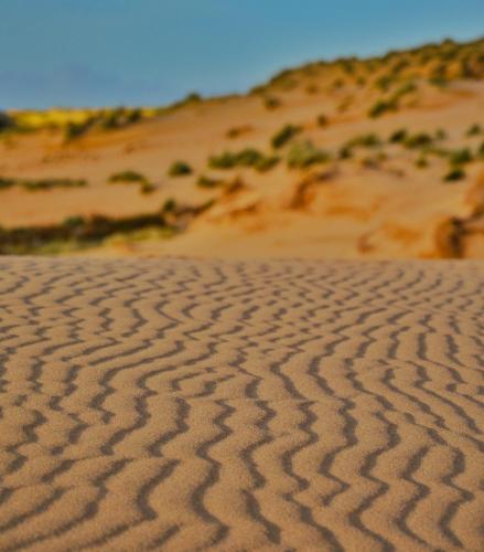 a sand pattern in the desert at Hotel Trinità dei Corsari in Torre Dei Corsari