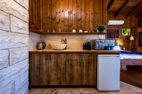 a kitchen with wooden cabinets and a counter with a sink at Gilad Cabins in Odem