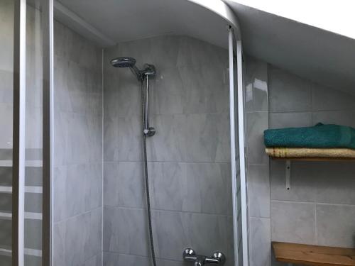 a shower with a glass door in a bathroom at Pension Stepponat in Arnstadt