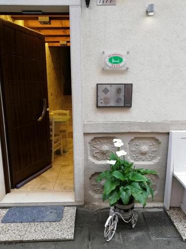 a plant in a pot in front of a door at B & B San Domenico in Chioggia