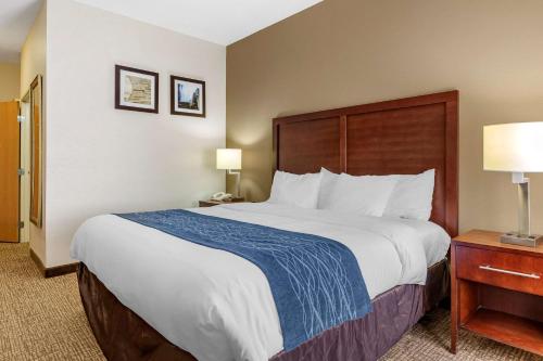 Gallery image of Comfort Inn Downtown - University Area in Kalamazoo