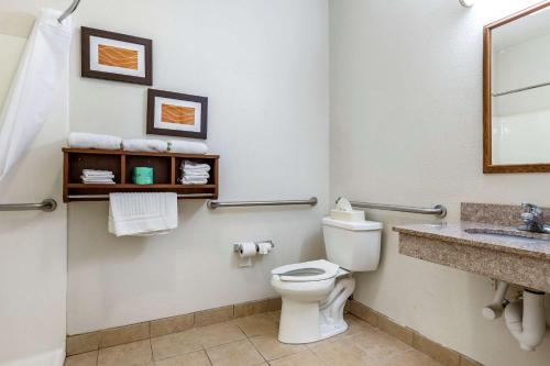 a bathroom with a toilet and a sink at Comfort Inn Downtown - University Area in Kalamazoo