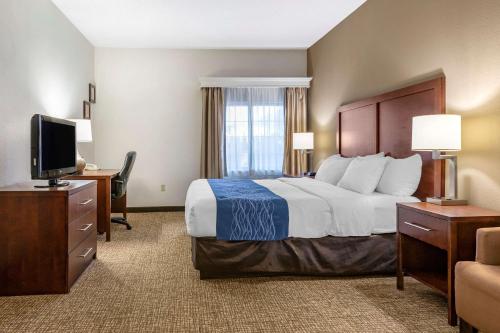 A bed or beds in a room at Comfort Inn Downtown - University Area