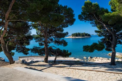 widok na plażę z drzewami na pierwszym planie w obiekcie Kozarica Apartments w Pakoštane