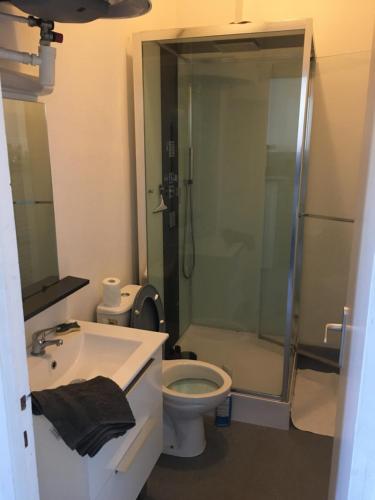 a bathroom with a shower and a toilet and a sink at Sweetie Flat in Cherbourg en Cotentin