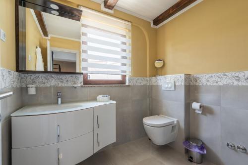 a bathroom with a sink and a toilet and a mirror at Villa Artiana in Rovinjsko Selo