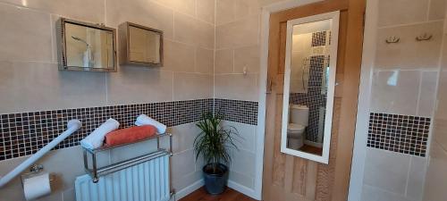 a bathroom with a toilet and a sink and a mirror at Hazel's House in Keighley