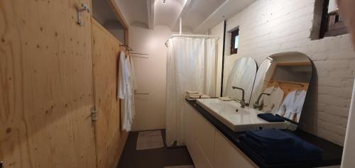 uma casa de banho com um lavatório e um espelho em Waar Maas & Waal..... em Woudrichem