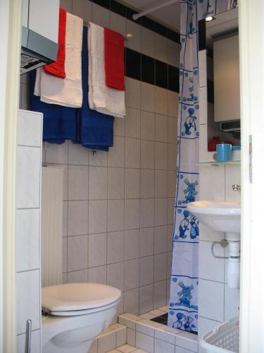 a bathroom with a toilet and a sink and towels at De Krasse Man in Edam