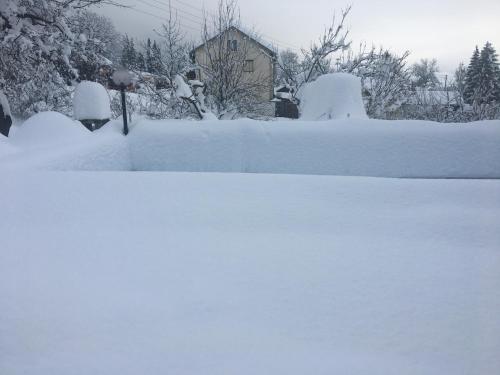 a yard covered in snow with a house in the background at Ferienwohnung Lebenslust Frauen Gasser in Baldramsdorf
